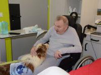 Le chien visiteur